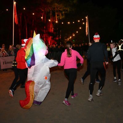 Sylvester-by-Night - Jaap vd Broek