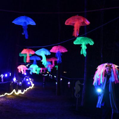 Sylvester-by-Night - Jaap vd Broek