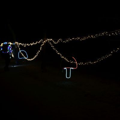 Sylvester-by-Night - Jaap vd Broek