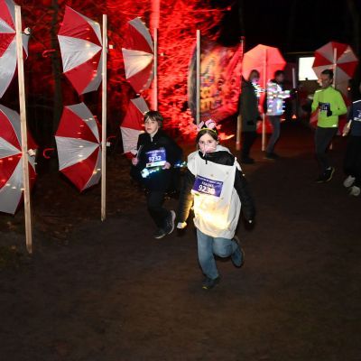 Sylvester-by-Night - Jaap vd Broek