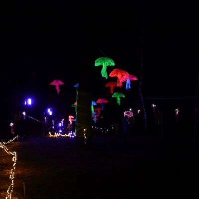 Sylvester-by-Night - Jaap vd Broek