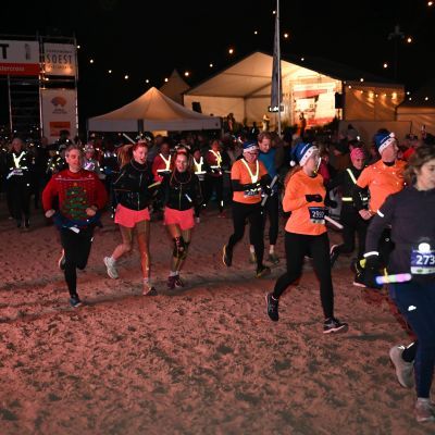 Sylvester-by-Night - Jaap vd Broek