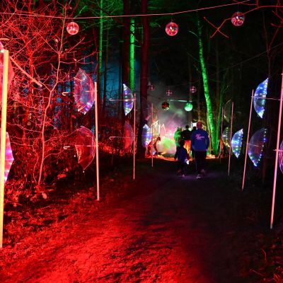 Sylvester-by-Night - Jaap vd Broek