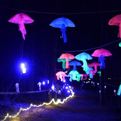 Sylvester-by-Night - Jaap vd Broek