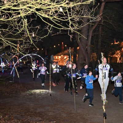 Sylvester-by-Night - Jaap vd Broek