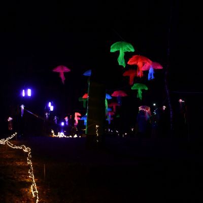 Sylvester-by-Night - Jaap vd Broek