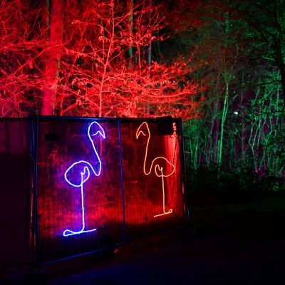 Sylvester-by-Night - Jaap vd Broek