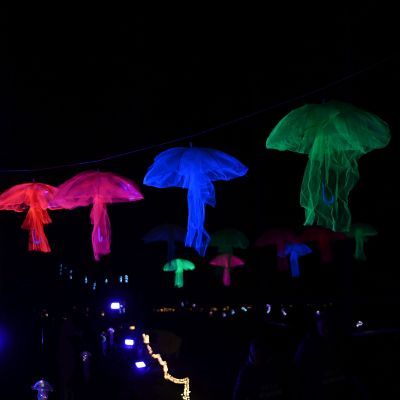 Sylvester-by-Night - Jaap vd Broek