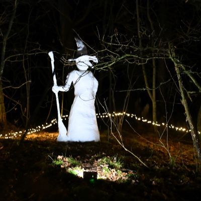 Sylvester-by-Night - Jaap vd Broek