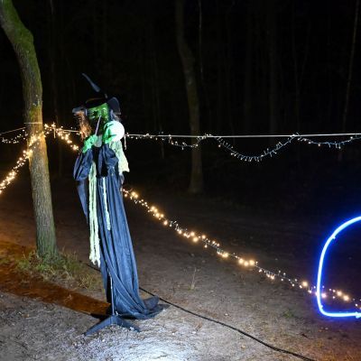 Sylvester-by-Night - Jaap vd Broek