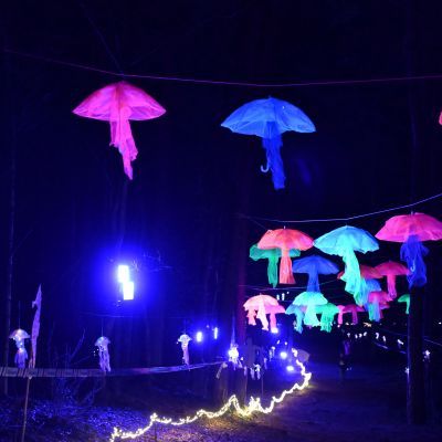 Sylvester-by-Night - Jaap vd Broek