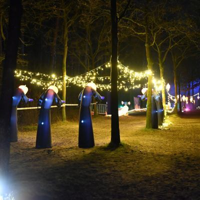 Sylvester-by-Night - Jaap vd Broek