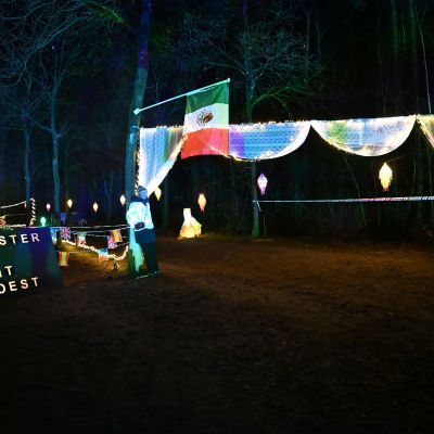 Sylvester-by-Night - Jaap vd Broek