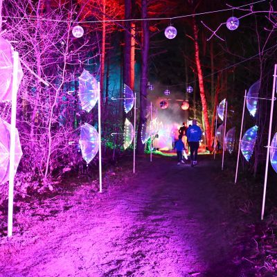 Sylvester-by-Night - Jaap vd Broek