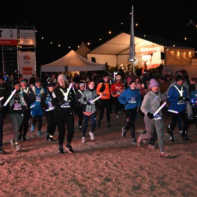 Sylvester-by-Night - Jaap vd Broek