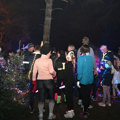 Sylvester-by-Night - Jaap vd Broek