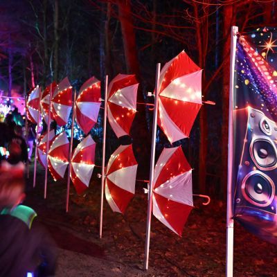 Sylvester-by-Night - Jaap vd Broek