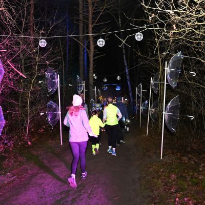 Sylvester-by-Night - Jaap vd Broek