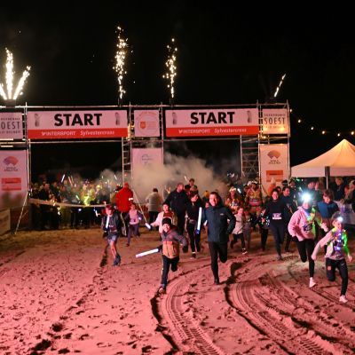 Sylvester-by-Night - Jaap vd Broek