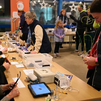 Sylvester-by-Night - Jaap vd Broek