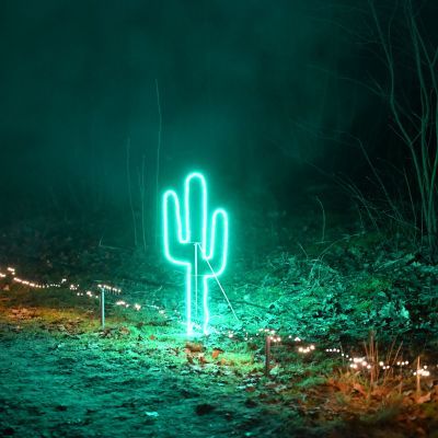 Sylvester-by-Night - Jaap vd Broek