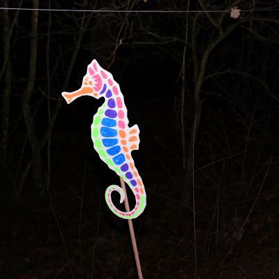 Sylvester-by-Night - Jaap vd Broek