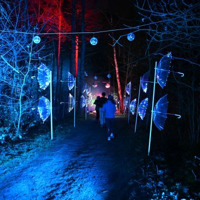 Sylvester-by-Night - Jaap vd Broek