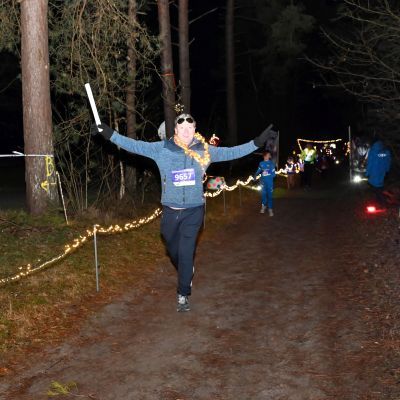 Sylvester-by-Night - Jaap vd Broek