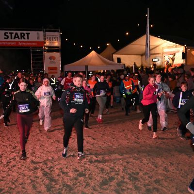 Sylvester-by-Night - Jaap vd Broek