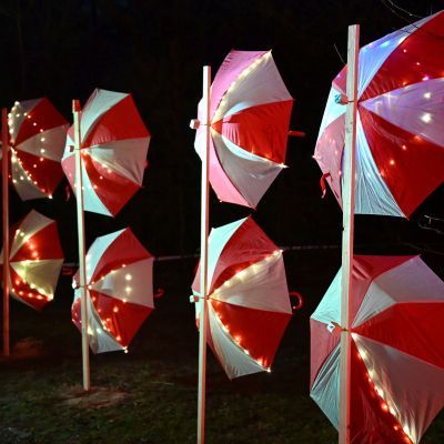 Sylvester-by-Night - Jaap vd Broek