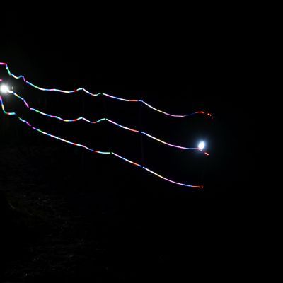 Sylvester-by-Night - Jaap vd Broek