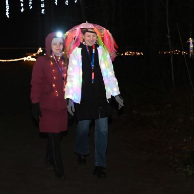 Sylvester-by-Night - Jaap vd Broek