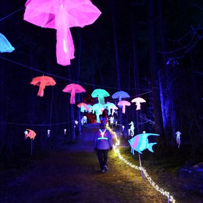 Sylvester-by-Night - Jaap vd Broek