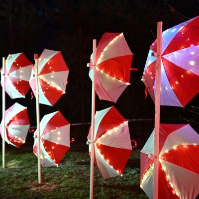 Sylvester-by-Night - Jaap vd Broek