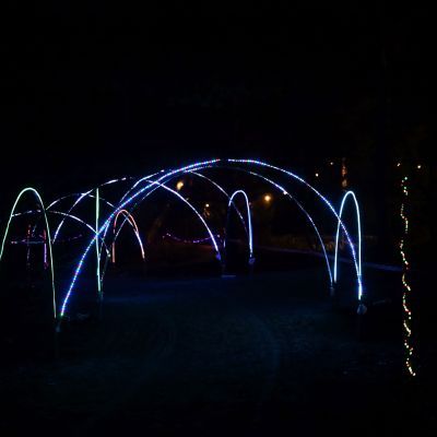 Sylvester-by-Night - Jaap vd Broek