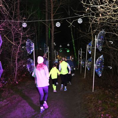 Sylvester-by-Night - Jaap vd Broek