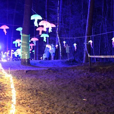 Sylvester-by-Night - Jaap vd Broek