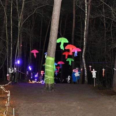 Sylvester-by-Night - Jaap vd Broek