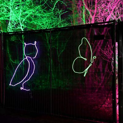 Sylvester-by-Night - Jaap vd Broek