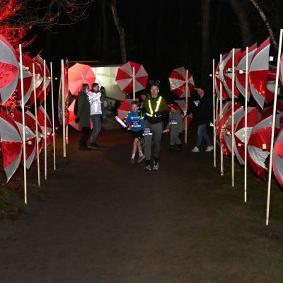 Sylvester-by-Night - Jaap vd Broek