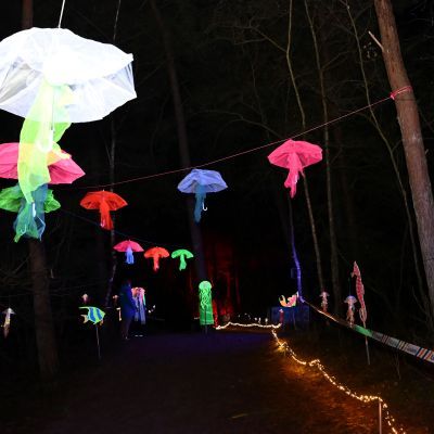 Sylvester-by-Night - Jaap vd Broek