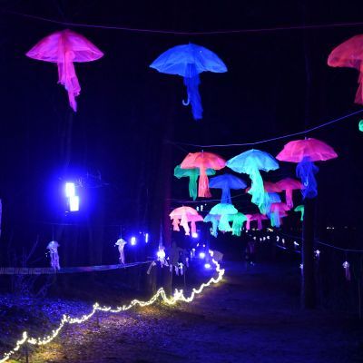 Sylvester-by-Night - Jaap vd Broek