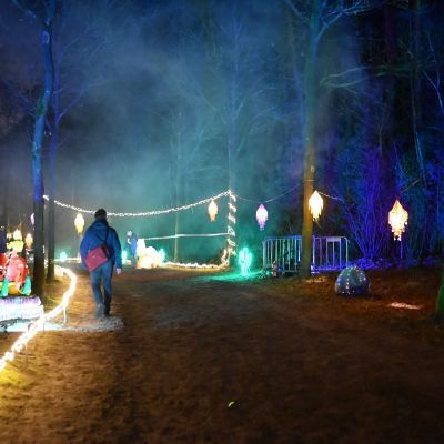 Sylvester-by-Night - Jaap vd Broek