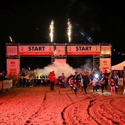 Sylvester-by-Night - Jaap vd Broek