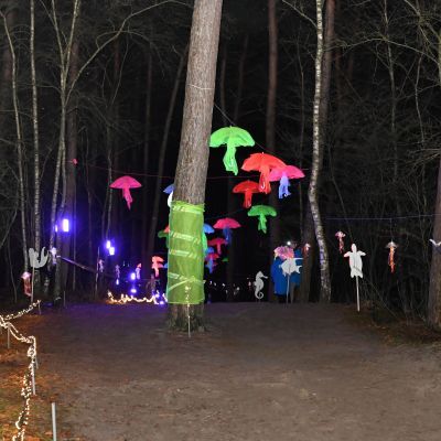 Sylvester-by-Night - Jaap vd Broek