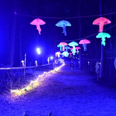 Sylvester-by-Night - Jaap vd Broek