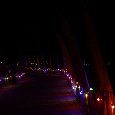 Sylvester-by-Night - Jaap vd Broek