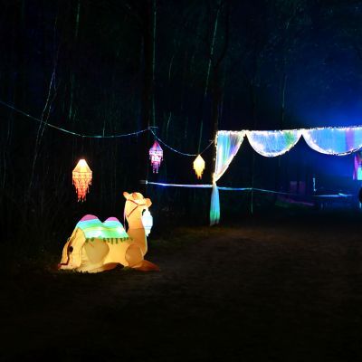 Sylvester-by-Night - Jaap vd Broek