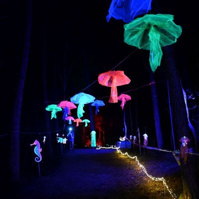 Sylvester-by-Night - Jaap vd Broek