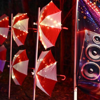 Sylvester-by-Night - Jaap vd Broek